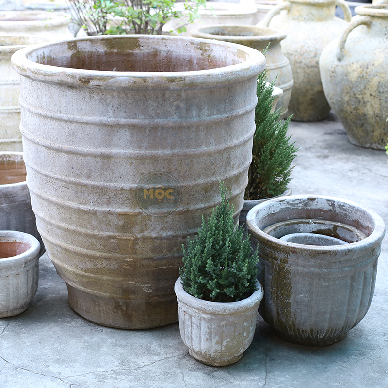 4052 Men Mỹ Thuật Chậu Bí Cao 35x35x30